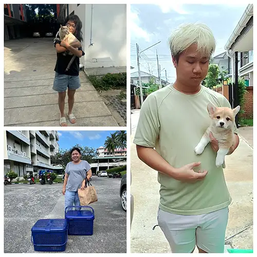 ผลงานขนส่งสัตว์เลี้ยง